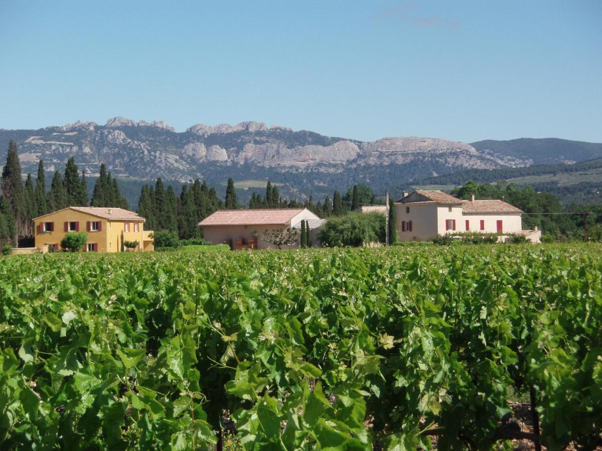Gite Les Vignes Carpentras Exterior foto